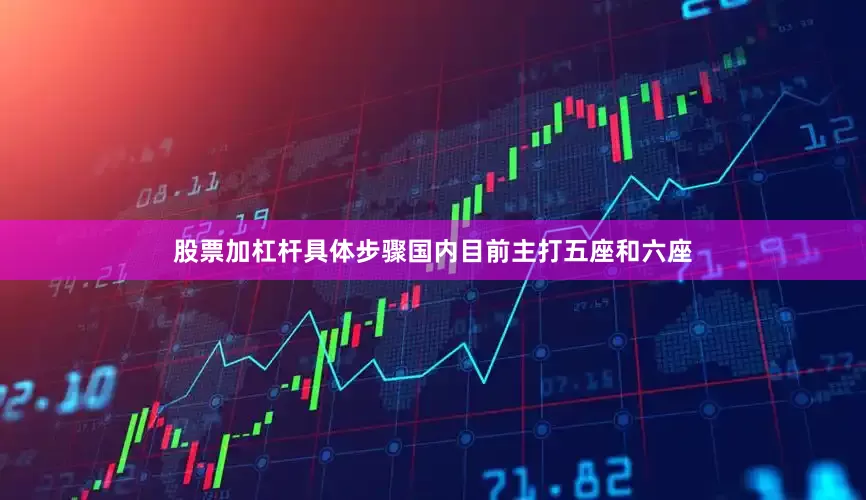 股票加杠杆具体步骤国内目前主打五座和六座